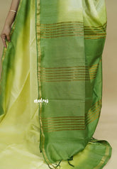 Pastel Green- Sithara - Semi tussar with gradient border and silver thread weaving body